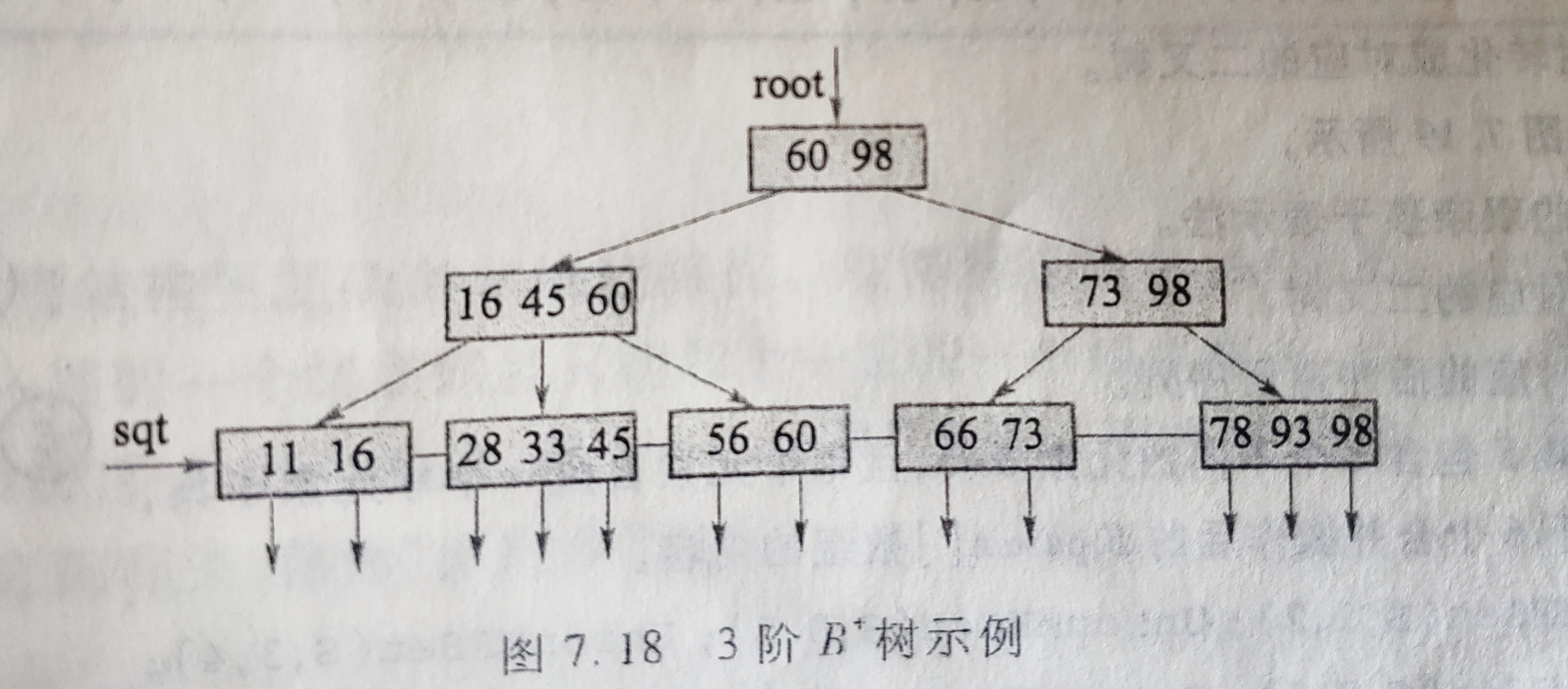 3阶B+树